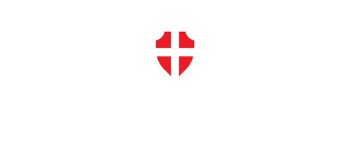 Skyris logo with stylized eagle and shield.